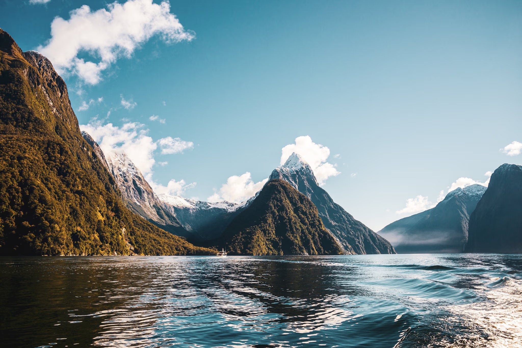 Milford Sound cruise